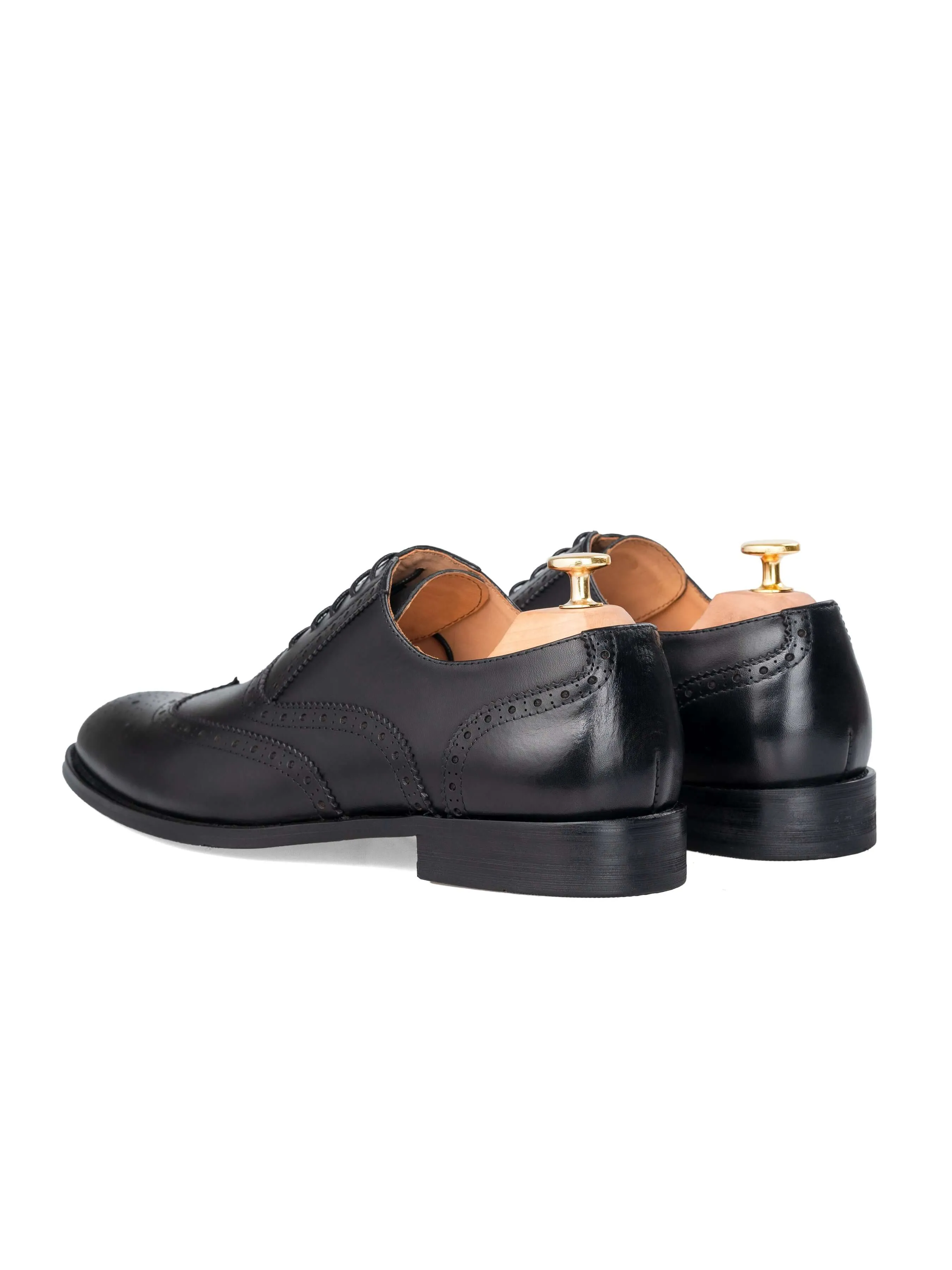 Classic Oxford Brogue Wingtip - Black Lace Up